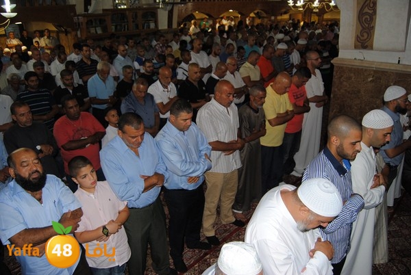 mahmoduia 3eed 808 (17).JPG